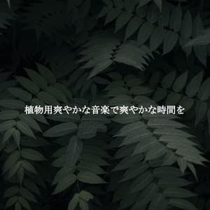 植物用爽やかな音楽で爽やかな時間を - Kaffeehaus Klassiker