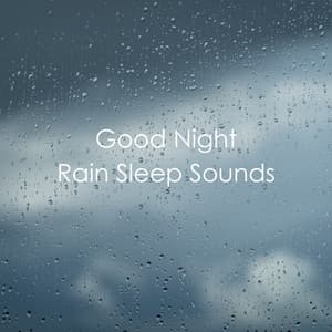 Good Night Rain Sleep Sounds - Relaxing Rain Sounds