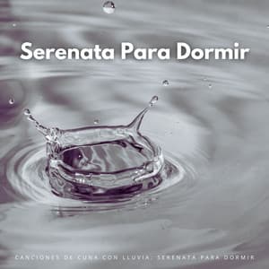 Canciones De Cuna Con Lluvia: Serenata Para Dormir - Ritmos binaurales Música para dormir