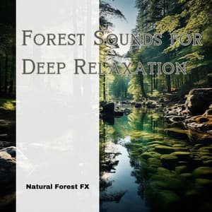 Forest Sounds for Deep Relaxation - Natural Forest FX