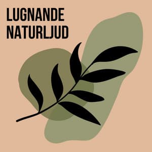 Lugnande naturljud - Naturljud