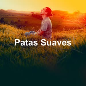 Patas Suaves - Musica para Gatos