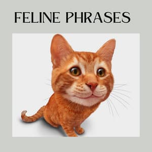 Feline Phrases - Cat Music Therapy