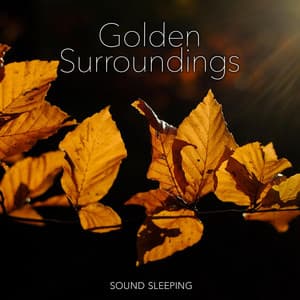Golden Surroundings - Sound Sleeping