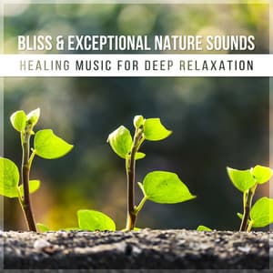 Bliss & Exceptional Nature Sounds - Healing Music for Deep Relaxation, Guided Chakra Balancing Meditation, Songs for Yoga - Lovely Nature Music Zone