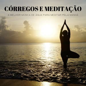 Córregos E Meditação: A Melhor Música De Água Para Meditar Pela Manhã - Música Relax para Bares