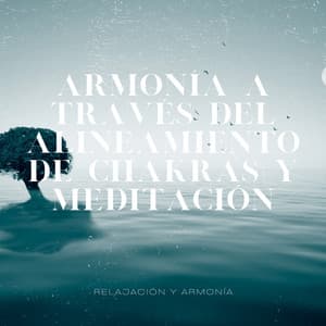 Armonía a través del Alineamiento de Chakras y Meditación - Relajación y Armonía