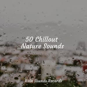 50 Chillout Nature Sounds - Musica Para Estudiar Academy