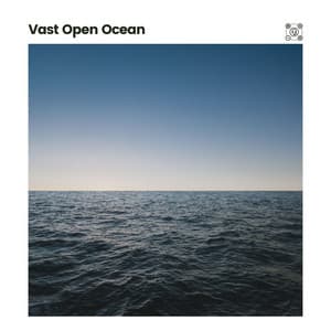 Vast Open Ocean - Ocean in HD