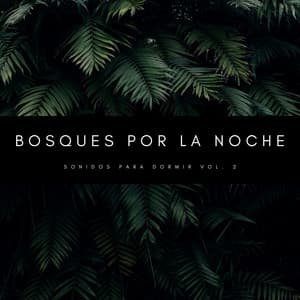 Bosques Por La Noche: Sonidos Para Dormir Vol. 2 - Sonidos de la Naturaleza para Dormir