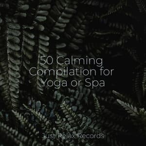 50 Calming Compilation for Yoga or Spa - Meditación Guiada