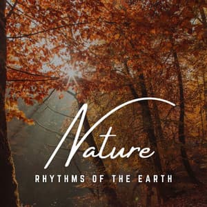 Rhythms of the Earth: Acoustic Harmony - The Mellow One
