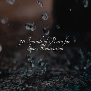 50 Natural Rain Sounds for Sleep and Relaxation - Binaural Beats Brain Waves Isochronic Tones Brain Wave Entertainment