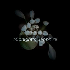 Midnight's Sapphire - Oceara