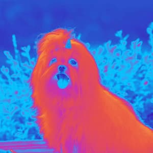 Music for Calming Pooches - Calming for Dogs