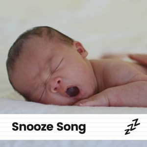 Snooze Song - Flows of Sleep