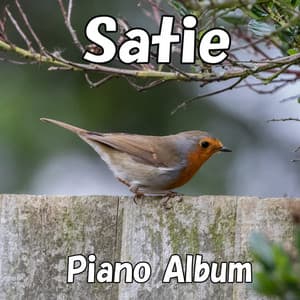 Satie Piano Album - Pianozone