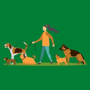 Sprightly Bgm for Freshly Groomed Doggy - Good Dog Music