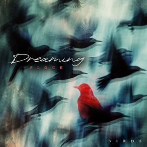 Dreaming Flock - Birds