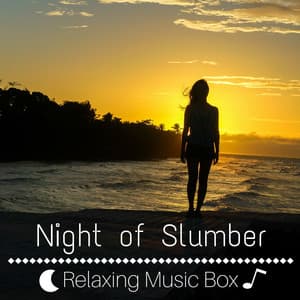 Night of Slumber: Relaxing Music Box, 20 Sleep Tracks for Baby Sleep - Slumber Anne