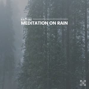 Meditation on Rain - Day & Night Rain