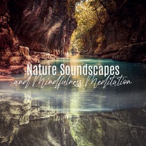 Nature Soundscapes and Mindfulness Meditation Music: Nature Sounds for Meditation, Peaceful Nature Sounds Collection to Help Sleep - Calm Nature Oasis
