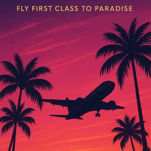 Fly First Class to Paradise - Dj Sundubai