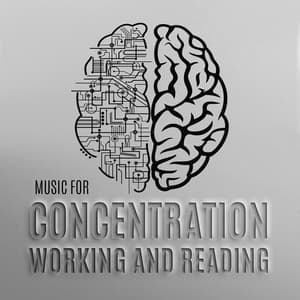 Music for Concentration, Working and Reading: Deep Focus Support, Mental Power Boost, Study Aid - Deep Concentration Project