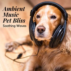 Ambient Music Pet Bliss: Soothing Waves - Ambient Covers