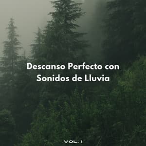 Descanso Perfecto Con Sonidos De Lluvia Vol. 1 - Experiencia de sonido de lluvia