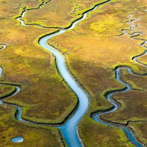 100 Paths To Wellness: Finding Yourself - Spa Music Relaxation