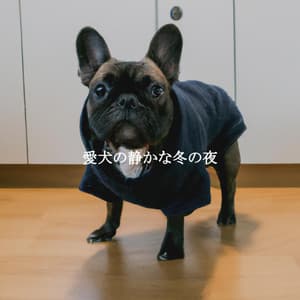愛犬の静かな冬の夜 - Cool Jazz Chill