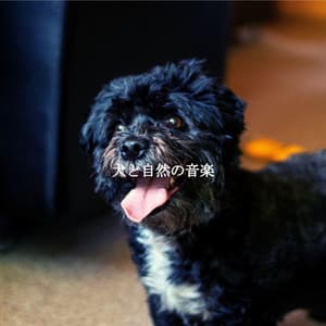 犬と自然の音楽 - Relaxing Morning Jazz Playlist