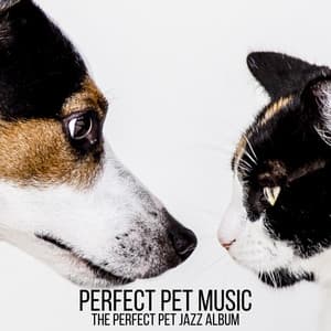 The Perfect Pet Jazz Album - Perfect Pet Music