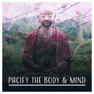 Pacify the Body & Mind - Less Stress Music Academy