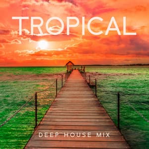 Tropical Deep House Mix: Summer Vibes - DJ Afterdark