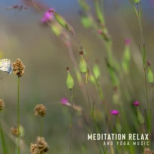 Meditation Relax and Yoga Music Positive Energy: Hypnosis, Visualization, Affirmations, Gratitude - Relax Yoga Music Meditation