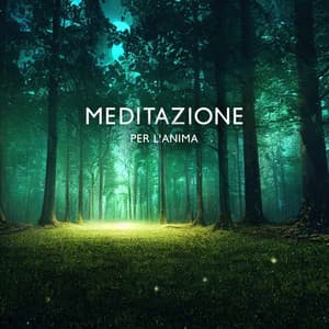 Meditazione per l'anima - Musica Relax Academia