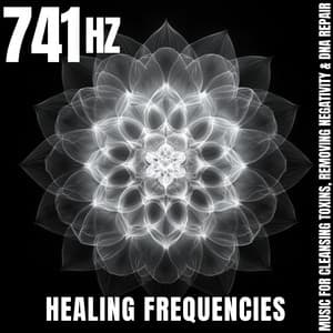 741 Hz Healing Frequencies: Music for Cleansing Toxins, Removing Negativity & DNA Repair - Meditation Music