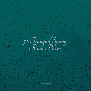 50 Tranquil Spring Rain Pieces - Sleep Meditation Dream Catcher