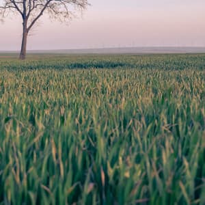 50 White Noise Sounds For Sleeping: Napping - White Noise Therapy