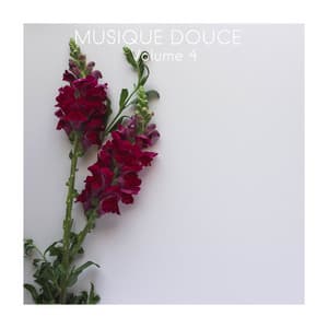 Musique Douce, Vol. 4 - Musique Zen Garden