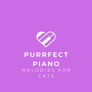 Purrfect Piano: Melodies for Cats - Piano for cats