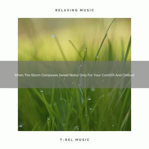 When The Storm Composes Sweet Notes Only For Your Comfort And Chillout - Natural White Noise for Babies
