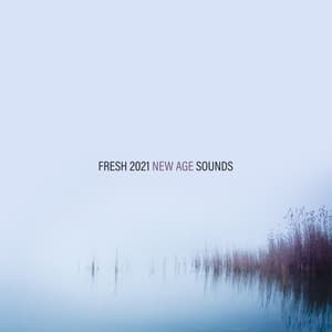 Fresh 2021 New Age Sounds - Ultimate New Age Academy