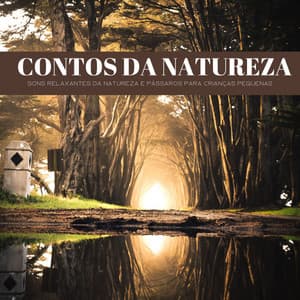 Contos Da Natureza: Sons Relaxantes Da Natureza E Pássaros Para Crianças Pequenas - Dormir e Meditar