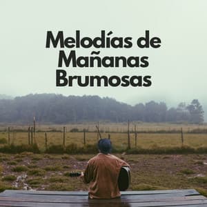 Melodías De Mañanas Brumosas - Sonidos de lluvia para conciliar el sueño