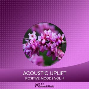 Acoustic Uplift - Martin Haene