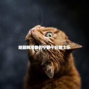 给猫咪准备的宁静午后爵士乐 - Bebop Jazz