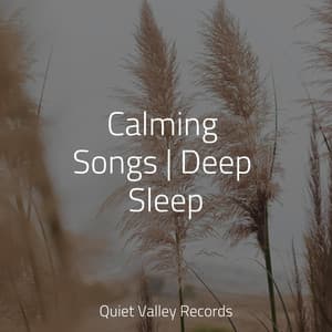 Calming Songs | Deep Sleep - White Noise Sound Garden